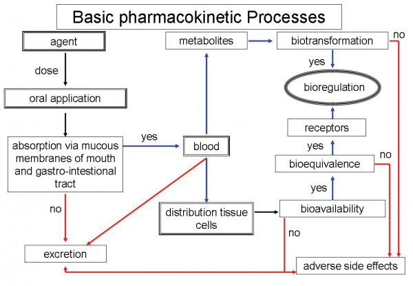 bazicni farmakokineticki procesi