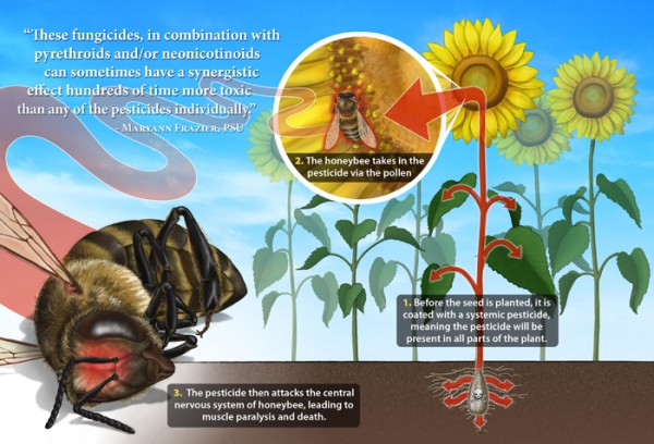 Pčele i neonikotinoidi