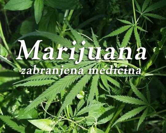 Marihuana zabranjena medicina
